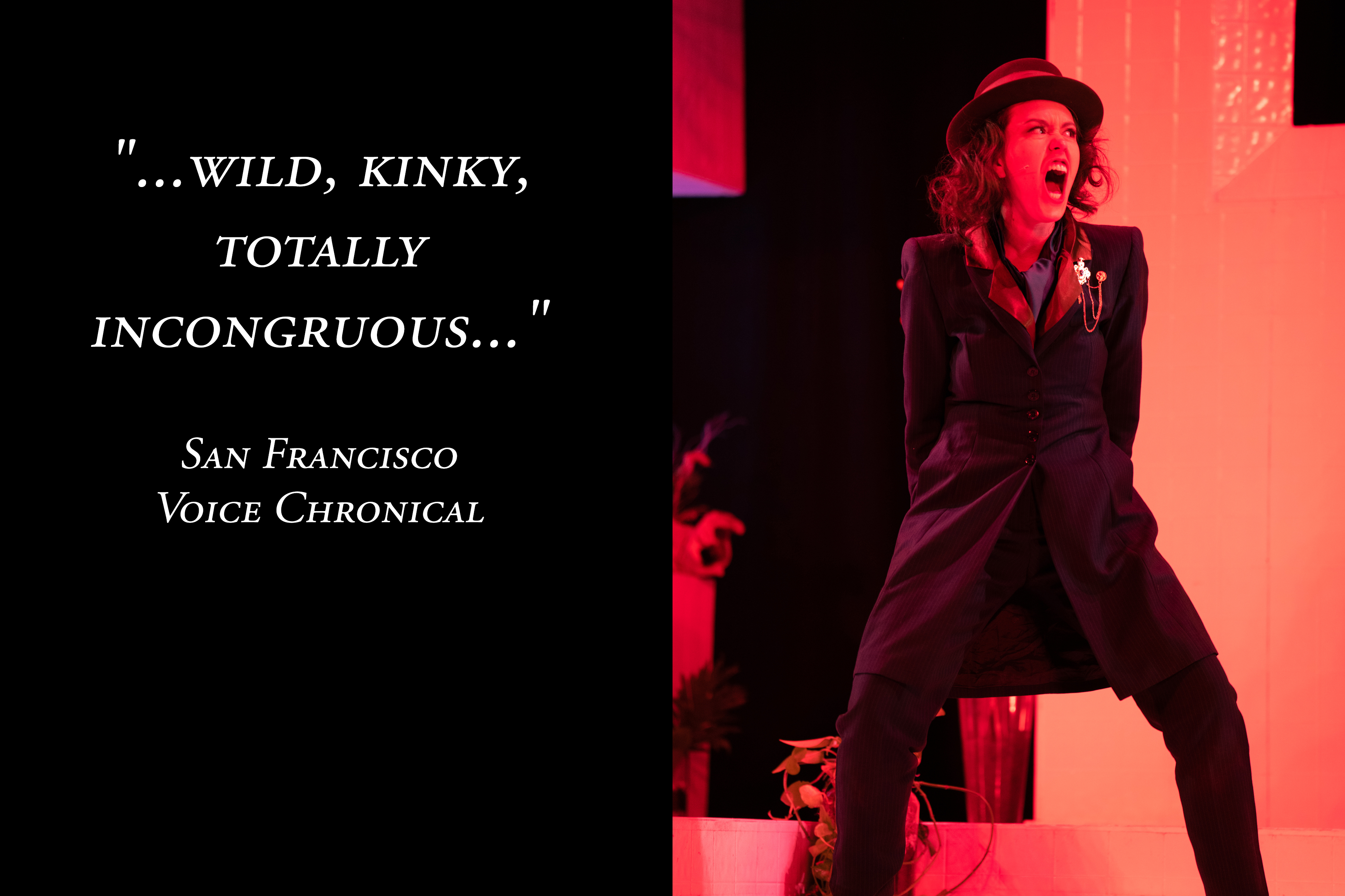 press quote website wild kinky copy.jpg